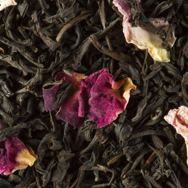 infusion the noir