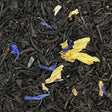infusion the noir