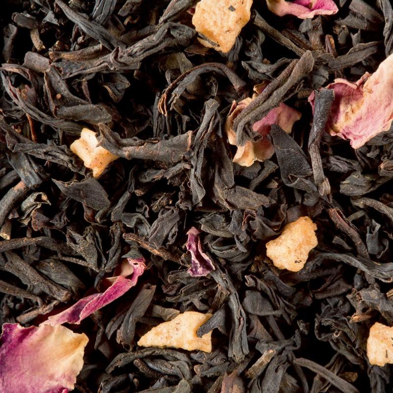 infusion the noir