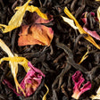 infusion the noir