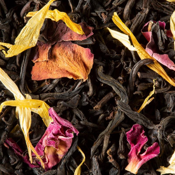 infusion the noir