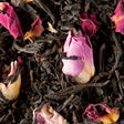 infusion the noir