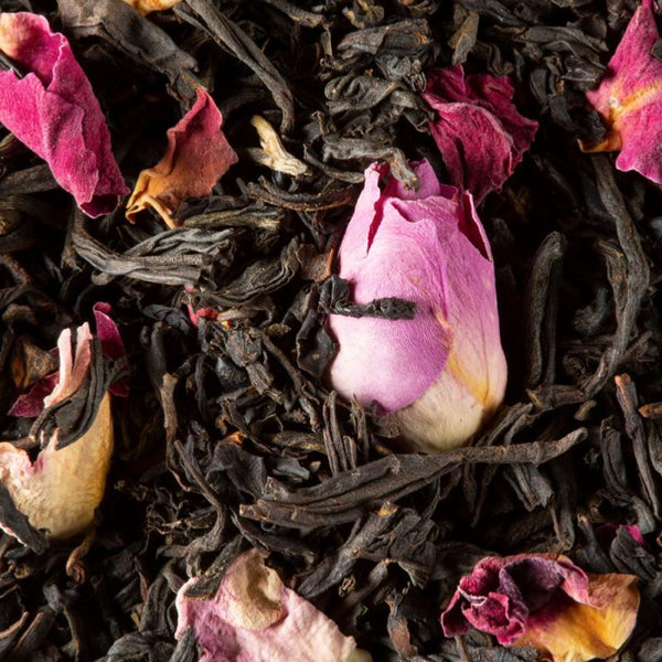 infusion the noir