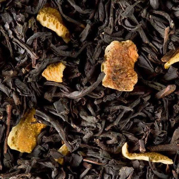 infusion the noir