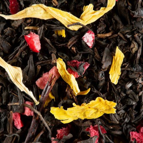 infusion the noir