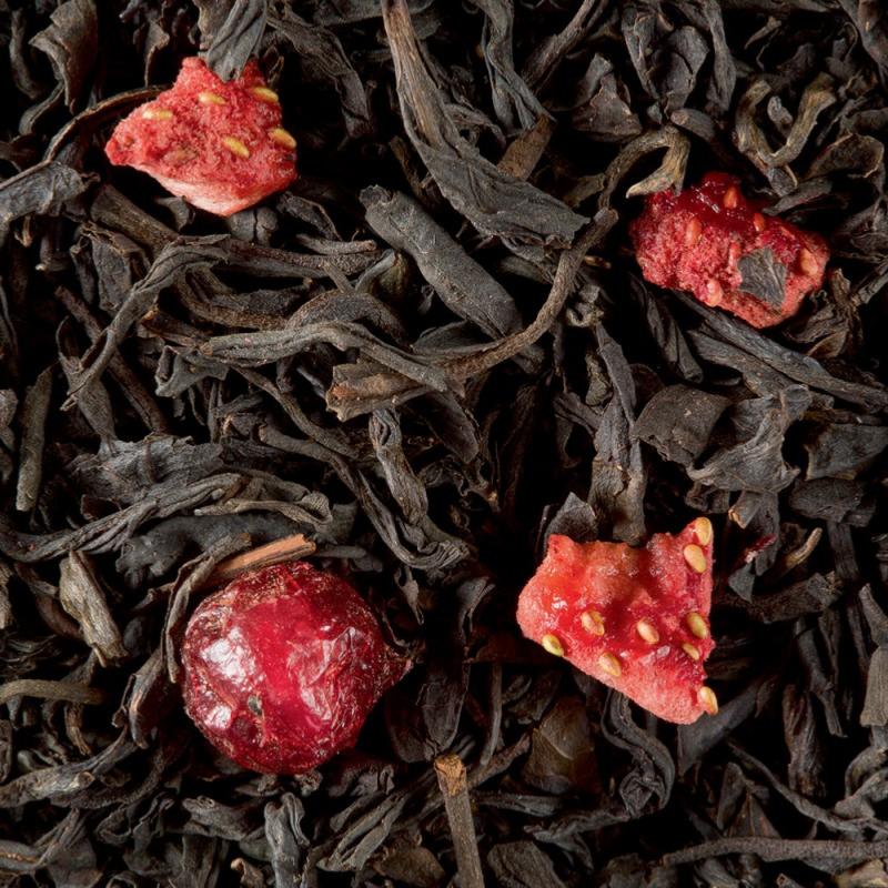 infusion the noir