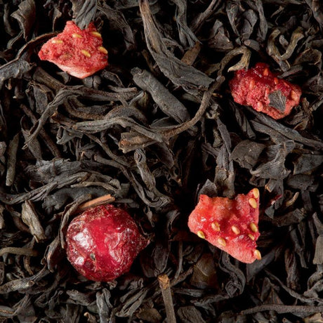 infusion the noir
