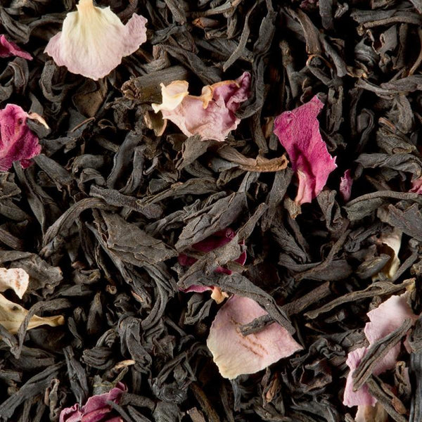 infusion the noir