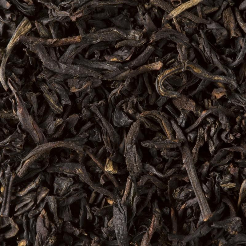 infusion the noir
