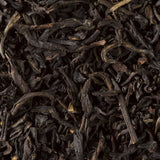 infusion the noir