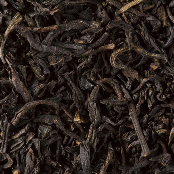 infusion the noir