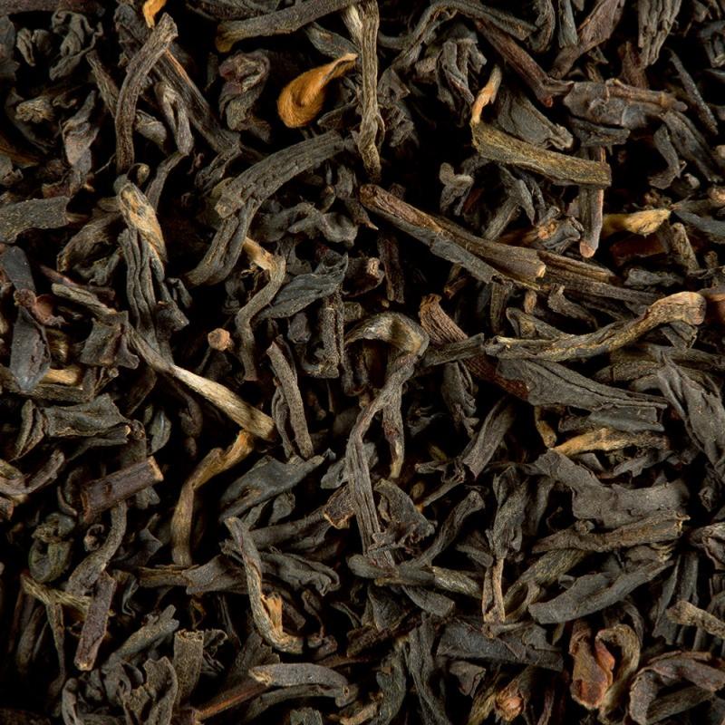 infusion the noir