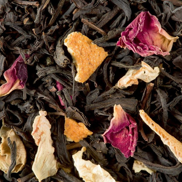 infusion the noir