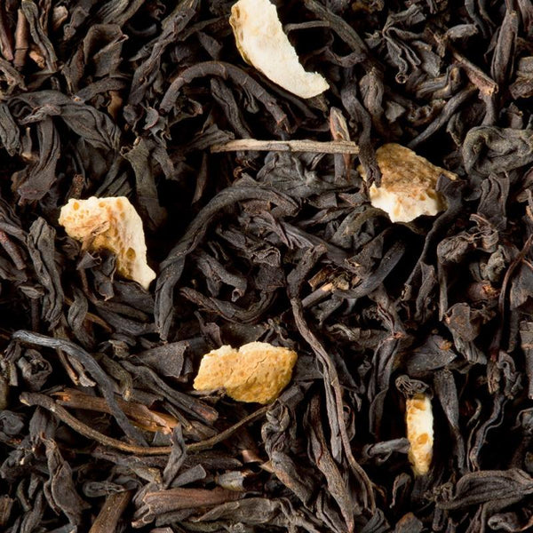 infusion the noir