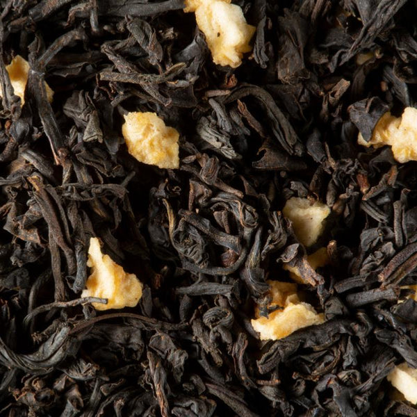 infusion the noir