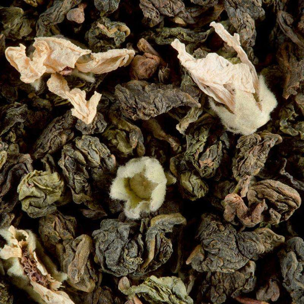 infusion the oolong