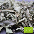 the79 verveine organic