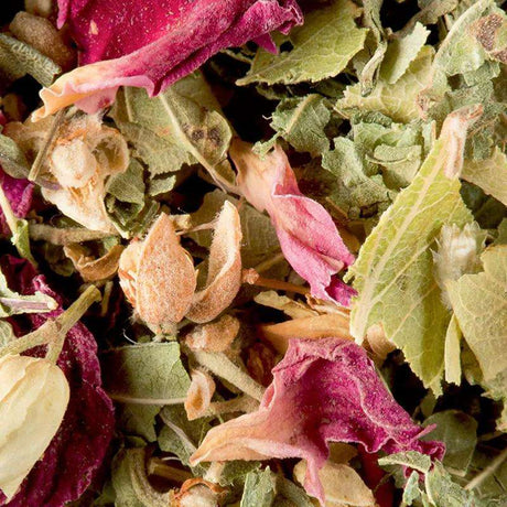 tisane bali 8fdf6ab9