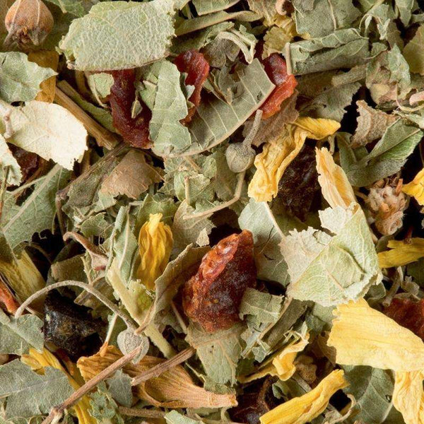 tisane reyne 1