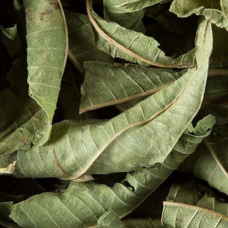 tisane verveine dammann